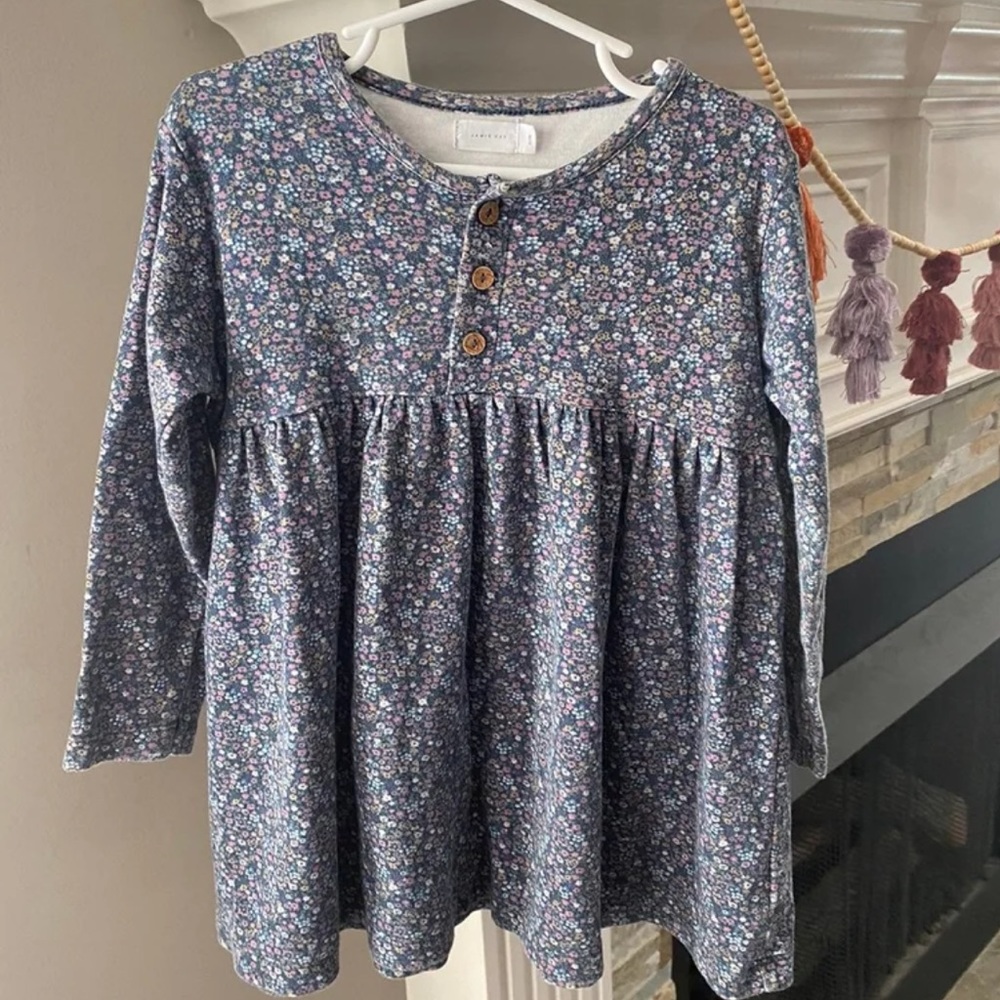 ISO Jamie Kay Winter Floral dress 3t & up
